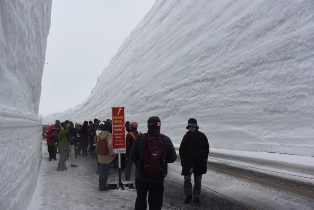 黑部立山雪墙