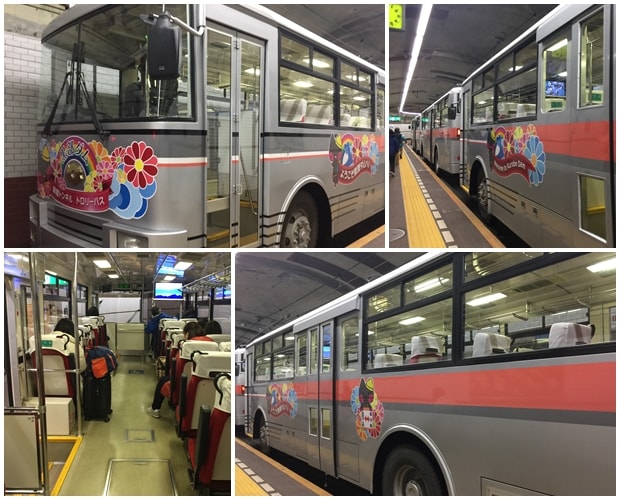 Tateyama Kurobe Kanden Tunnel Trolley Bus