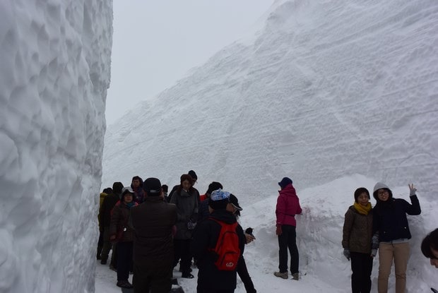 Snow Corridor