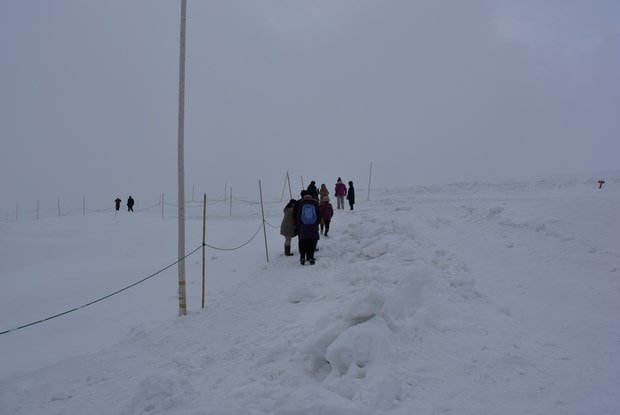 Snow Wall