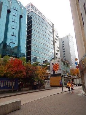 Hotel Skypark Central Myeongdong Seoul_外觀_04