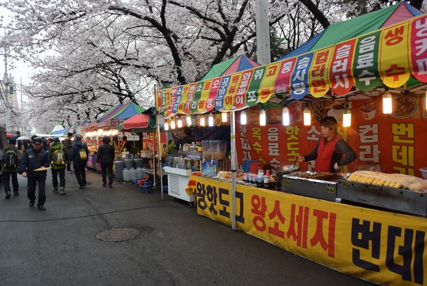 2015 Seoul Busan Trip Day4_114