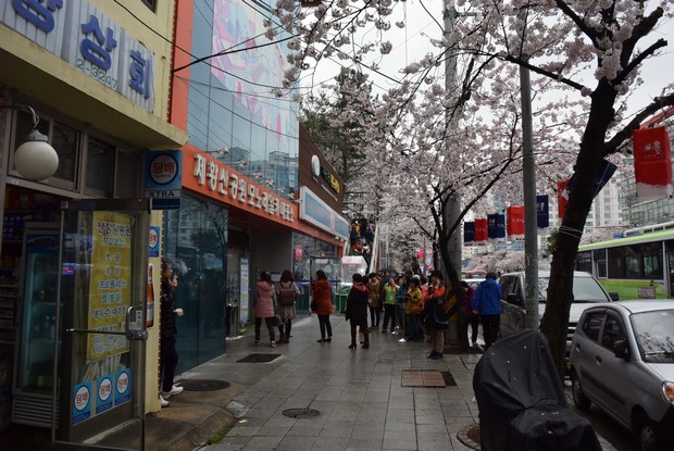 2015 Seoul Busan Trip Day4_123