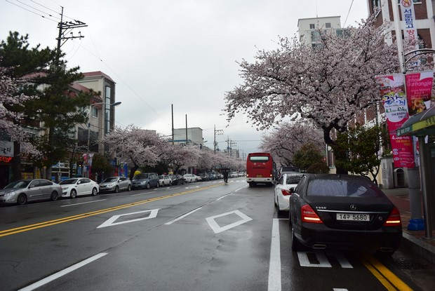 2015 Seoul Busan Trip Day4_77