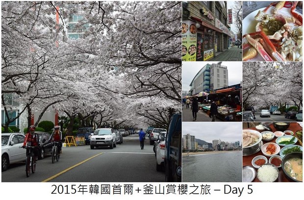2015 Seoul Busan Trip Day5