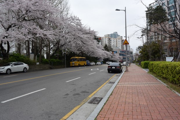 2015 Seoul Busan Trip Day5_51