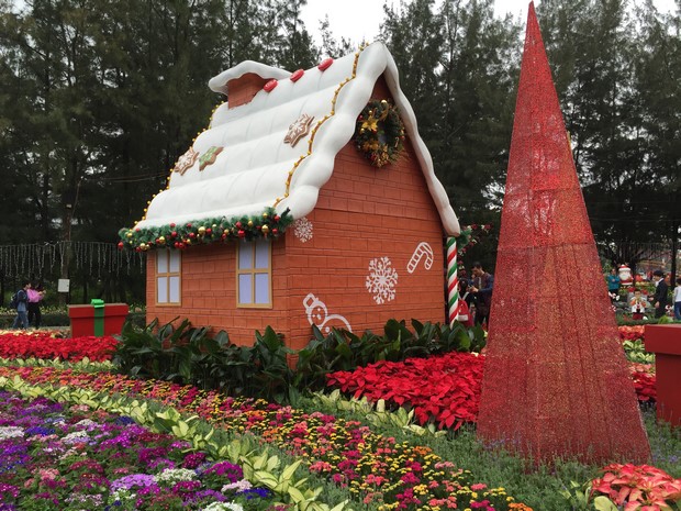 Macao Christmas Flower Show_14