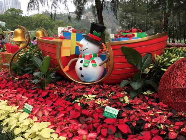 Macao Christmas Flower Show_20