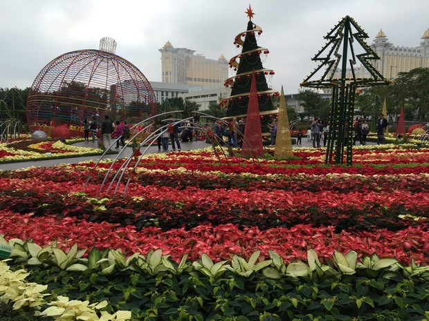 Macao Christmas Flower Show_23