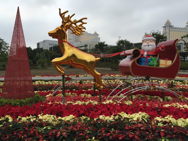 Macao Christmas Flower Show_26