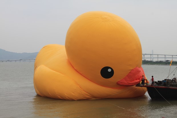 Yellow Duck at Macau_18