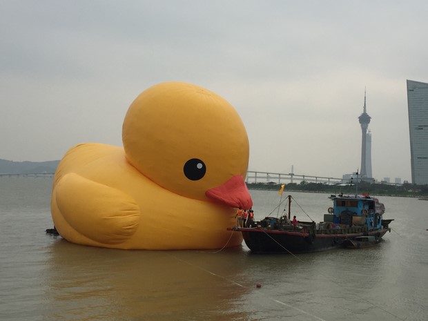 Yellow Duck at Macau_19