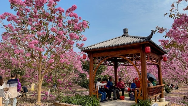 江門綠美生態園