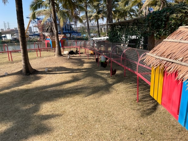 中山奇遇時光樂園精靈王國動物園