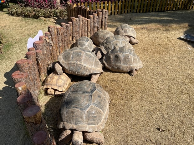 中山奇遇時光樂園萌寵樂園